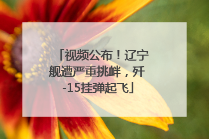 视频公布！辽宁舰遭严重挑衅，歼-15挂弹起飞