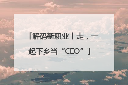 解码新职业丨走，一起下乡当“CEO”