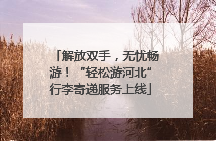解放双手，无忧畅游！“轻松游河北”行李寄递服务上线