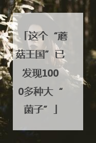 这个“蘑菇王国”已发现1000多种大“菌子”