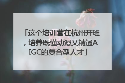 这个培训营在杭州开班，培养既懂动漫又精通AIGC的复合型人才