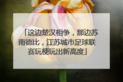 这边楚汉相争，那边苏南德比，江苏城市足球联赛玩梗玩出新高度