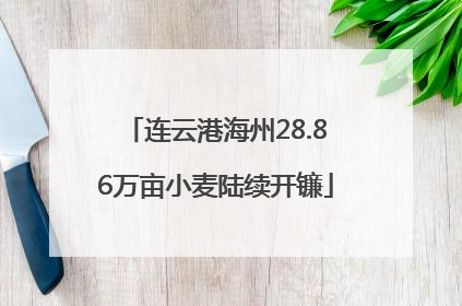 连云港海州28.86万亩小麦陆续开镰
