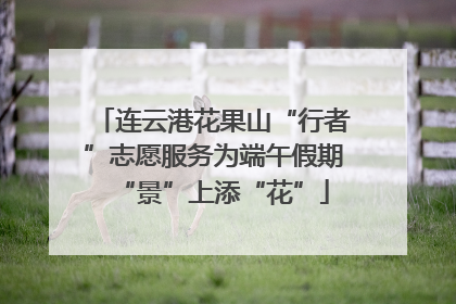 连云港花果山“行者”志愿服务为端午假期“景”上添“花”