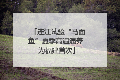 连江试验“马面鱼”夏季高温混养 为福建首次