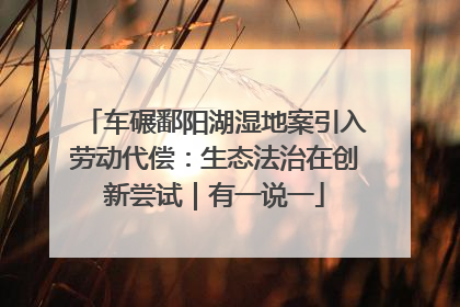车碾鄱阳湖湿地案引入劳动代偿：生态法治在创新尝试｜有一说一