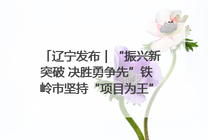 辽宁发布｜“振兴新突破 决胜勇争先”铁岭市坚持“项目为王”推进经济高质量发展