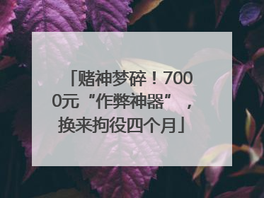 赌神梦碎！7000元“作弊神器”，换来拘役四个月
