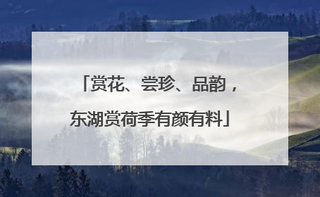 赏花、尝珍、品韵，东湖赏荷季有颜有料