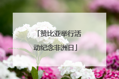 赞比亚举行活动纪念非洲日