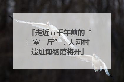 走近五千年前的“三室一厅”，大河村遗址博物馆将开