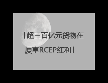 超三百亿元货物在厦享RCEP红利