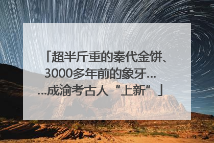 超半斤重的秦代金饼、3000多年前的象牙……成渝考古人“上新”