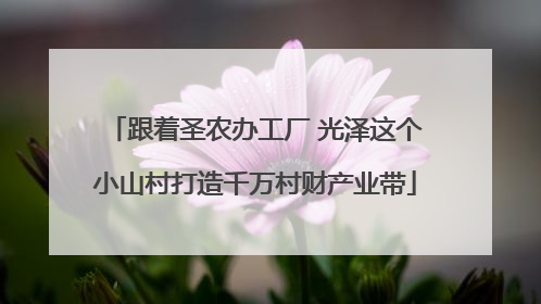 跟着圣农办工厂 光泽这个小山村打造千万村财产业带