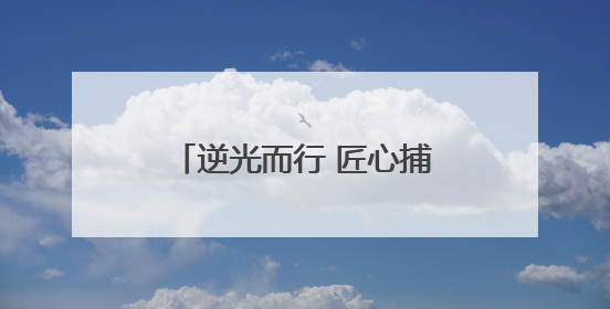 逆光而行 匠心捕韵——淄博高新区老年大学户外课堂解码光影美学密码