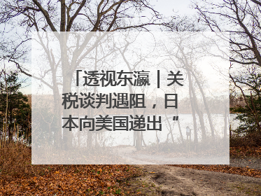 透视东瀛｜关税谈判遇阻，日本向美国递出“投名状”