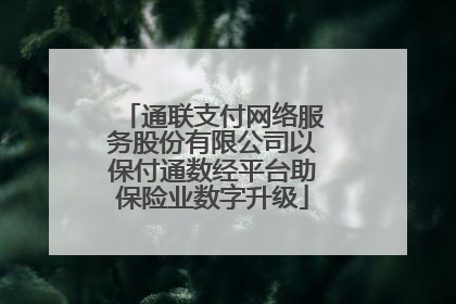 通联支付网络服务股份有限公司以保付通数经平台助保险业数字升级