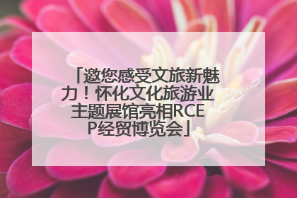 邀您感受文旅新魅力！怀化文化旅游业主题展馆亮相RCEP经贸博览会