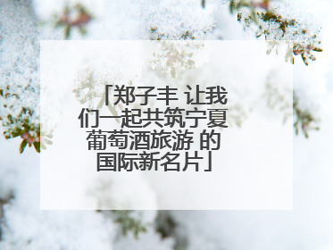郑子丰 让我们一起共筑宁夏葡萄酒旅游 的国际新名片