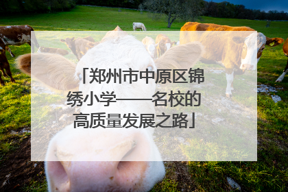 郑州市中原区锦绣小学——名校的高质量发展之路