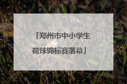郑州市中小学生荷球锦标赛落幕