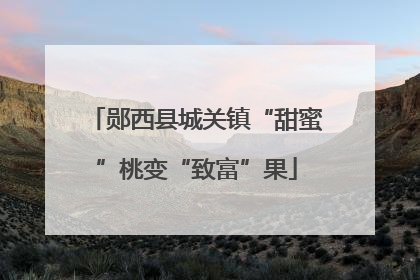 郧西县城关镇“甜蜜”桃变“致富”果