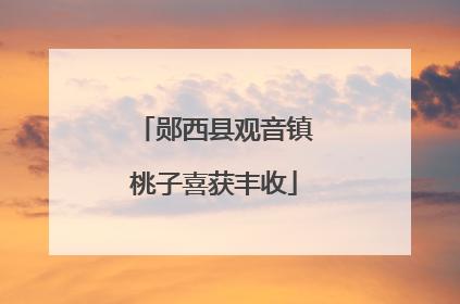 郧西县观音镇桃子喜获丰收