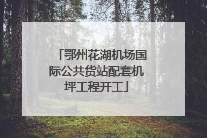 鄂州花湖机场国际公共货站配套机坪工程开工