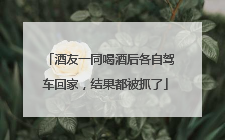 酒友一同喝酒后各自驾车回家，结果都被抓了