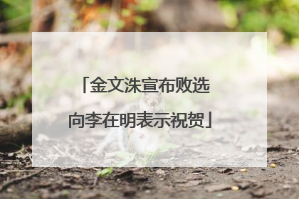 金文洙宣布败选 向李在明表示祝贺