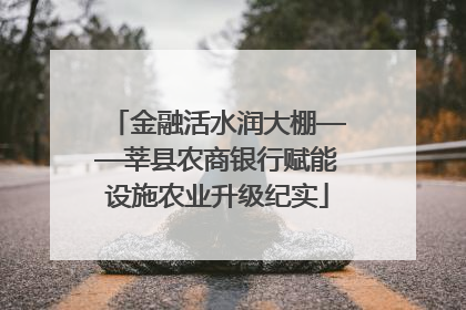 金融活水润大棚——莘县农商银行赋能设施农业升级纪实
