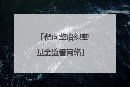 靶向整治织密基金监管网络