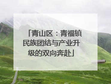 青山区：青福镇民族团结与产业升级的双向奔赴
