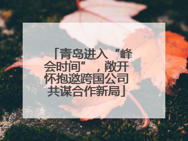 青岛进入“峰会时间”，敞开怀抱邀跨国公司共谋合作新局