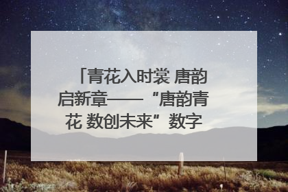 青花入时裳 唐韵启新章——“唐韵青花 数创未来”数字文创设计大赛启幕