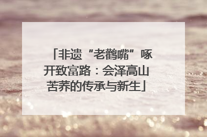 非遗“老鹳嘴”啄开致富路：会泽高山苦荞的传承与新生