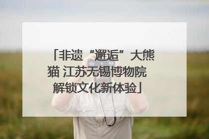 非遗“邂逅”大熊猫 江苏无锡博物院解锁文化新体验