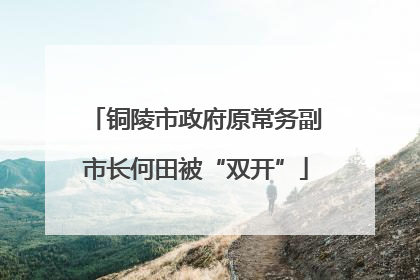 铜陵市政府原常务副市长何田被“双开”