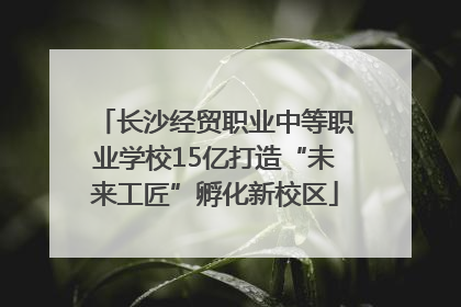 长沙经贸职业中等职业学校15亿打造“未来工匠”孵化新校区