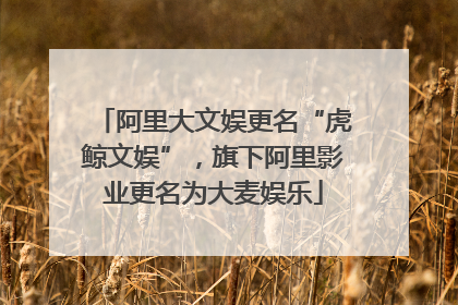 阿里大文娱更名“虎鲸文娱”，旗下阿里影业更名为大麦娱乐