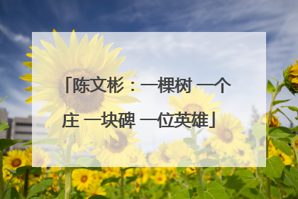 陈文彬：一棵树 一个庄 一块碑 一位英雄