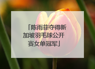陈雨菲夺得新加坡羽毛球公开赛女单冠军