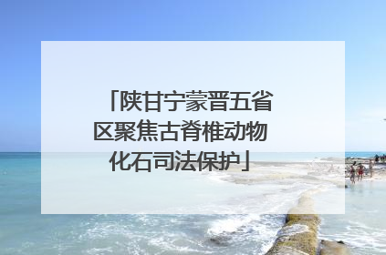 陕甘宁蒙晋五省区聚焦古脊椎动物化石司法保护