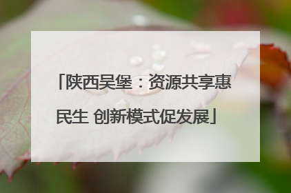 陕西吴堡：资源共享惠民生 创新模式促发展