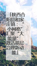陕西合阳县和家庄镇：“小网格”汇聚“大能量” 激活基层治理新动能