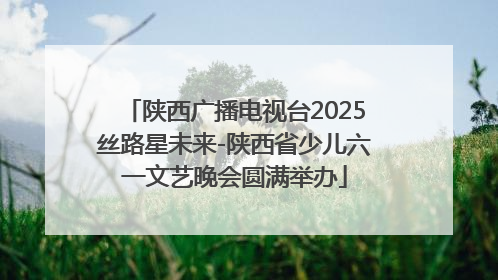 陕西广播电视台2025丝路星未来-陕西省少儿六一文艺晚会圆满举办