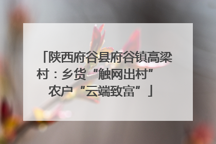 陕西府谷县府谷镇高梁村：乡货“触网出村” 农户“云端致富”