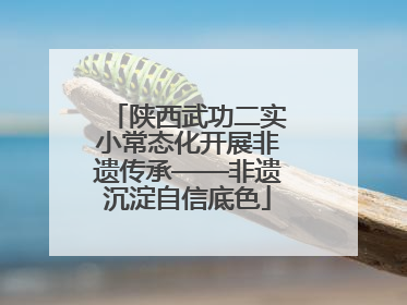 陕西武功二实小常态化开展非遗传承——非遗沉淀自信底色