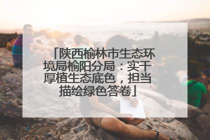 陕西榆林市生态环境局榆阳分局：实干厚植生态底色，担当描绘绿色答卷