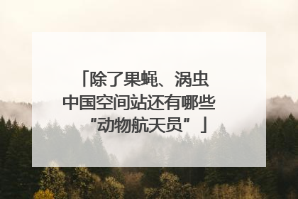 除了果蝇、涡虫 中国空间站还有哪些“动物航天员”